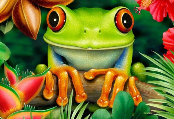 Красивая лягушка рисунок