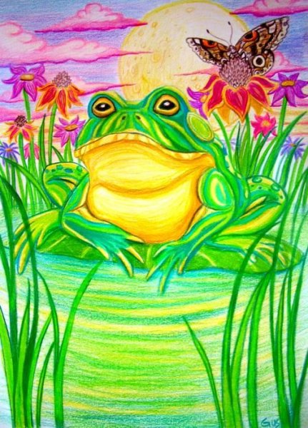 Лягушка рисунок