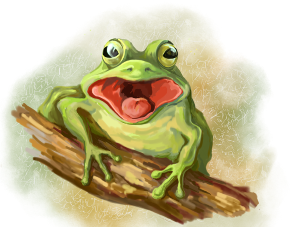 Лягушка иллюстрация