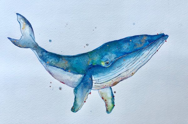 Синий кит акварель