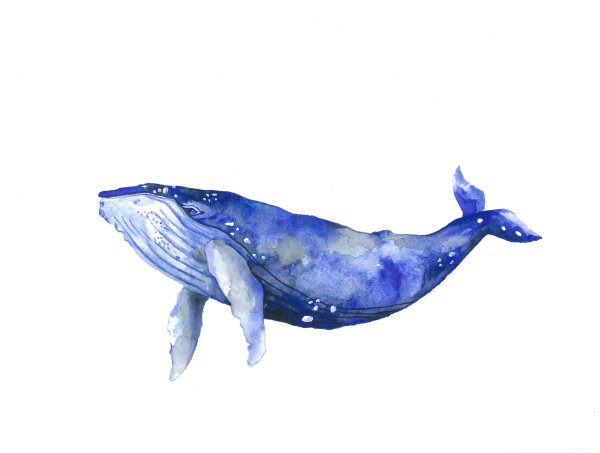 Нарисовать кита