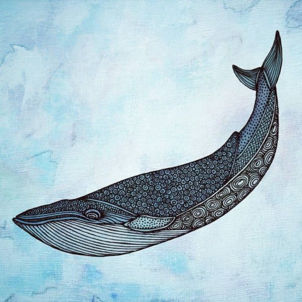 Космический кит