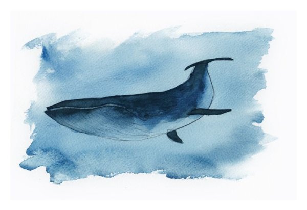 Кит акварельными карандашами