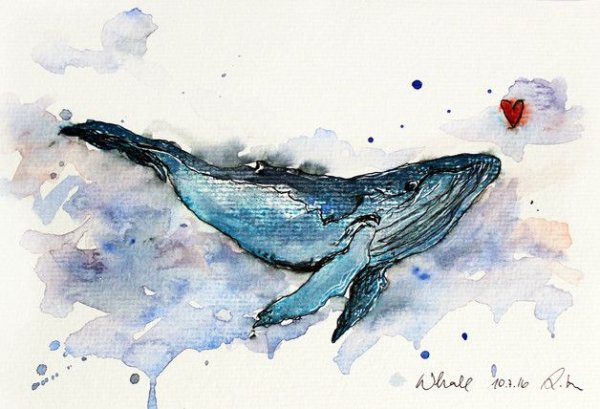 Кит рисунок