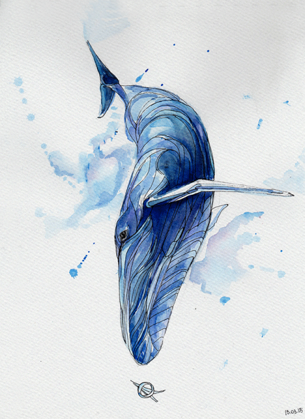 Кит рисунок