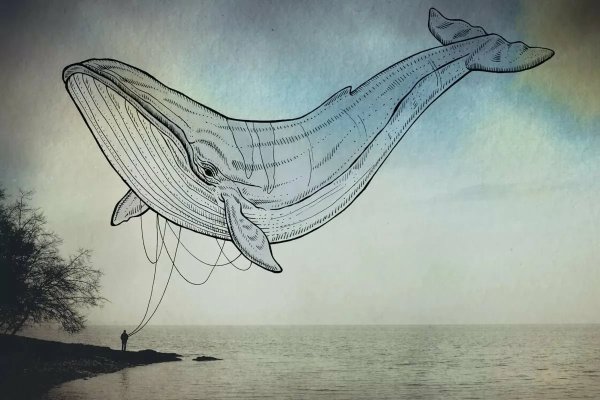 Кит рисунок