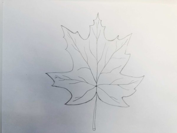 Рисование на листьях клена