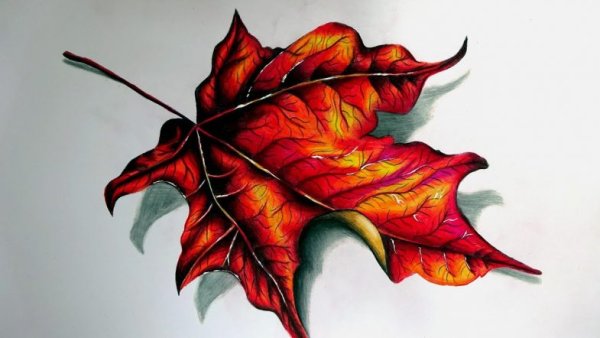 Осенние листья Наброски