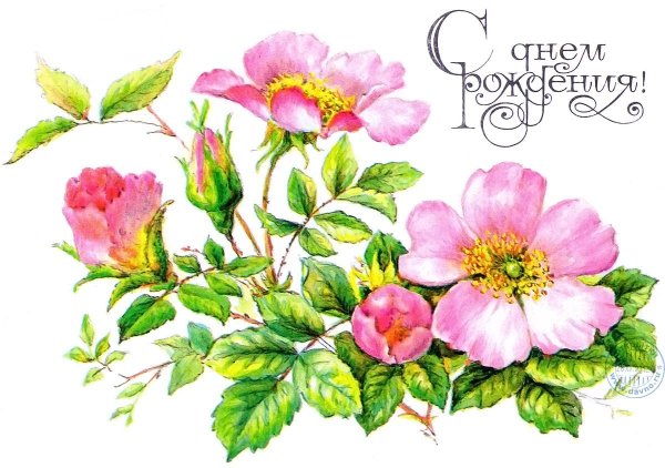 Рисунок цветов на день рождения