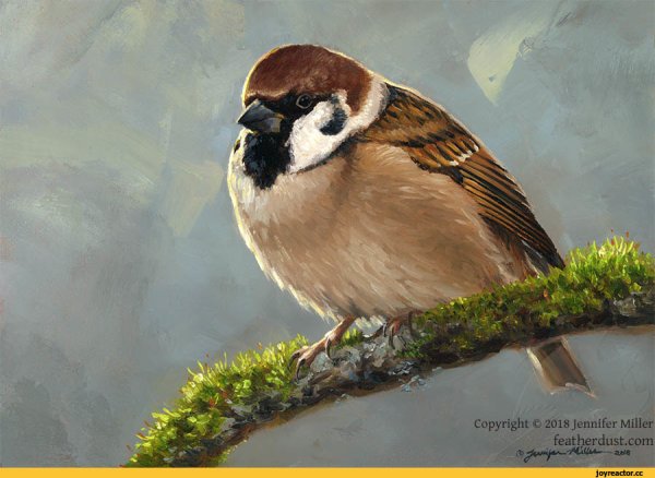 Воробей птица арт