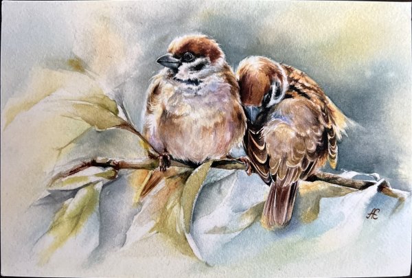 Альбина статных акварель