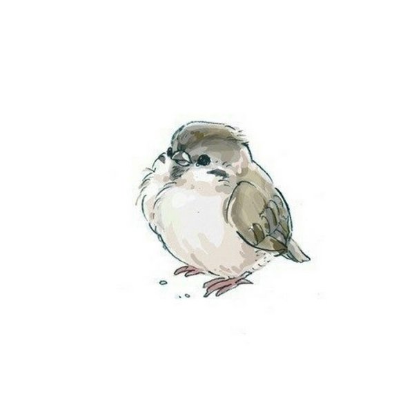 Воробей арт