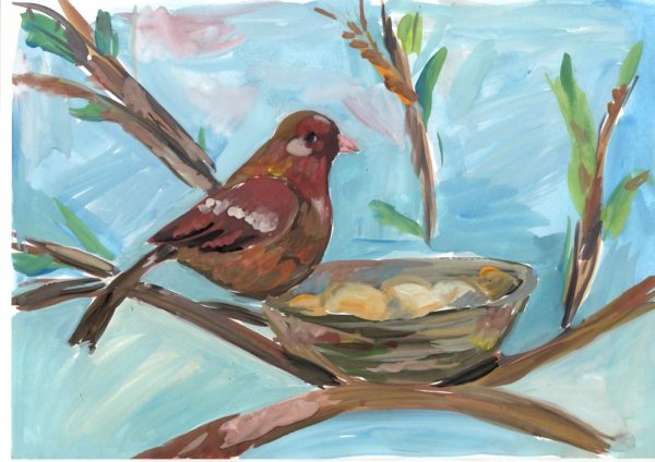 Птицы Башкирии Воробей