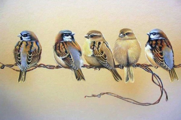 Работы художника Ruud Weenink