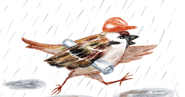 Храбрый Воробей