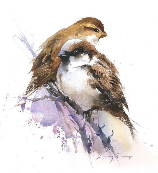 Воробей рисунок