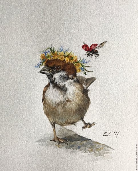 Воробушек акварелью