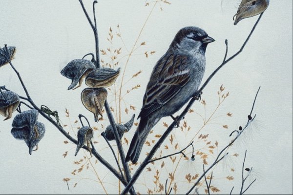 Композиция с воробьями