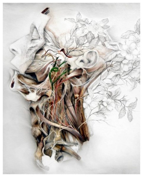 Художник Nunzio paci