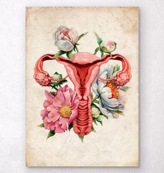 Анатомия человека в цветах