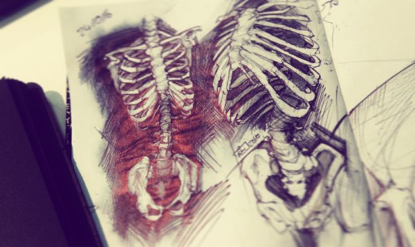 Скелет в перспективе