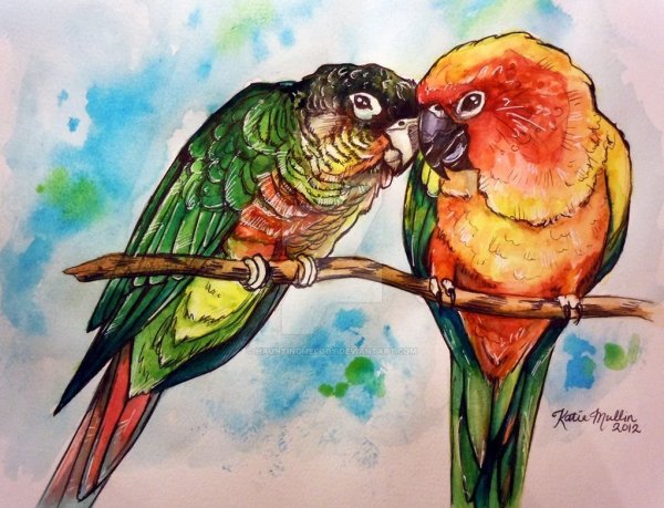 Красивые рисунки попугаев