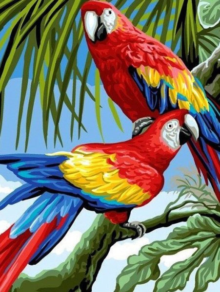 Алмазная вышивка попугаи