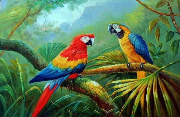 Попугаи на ветке живопись