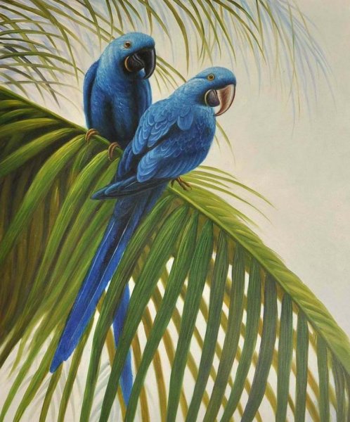 Попугаи на ветке живопись