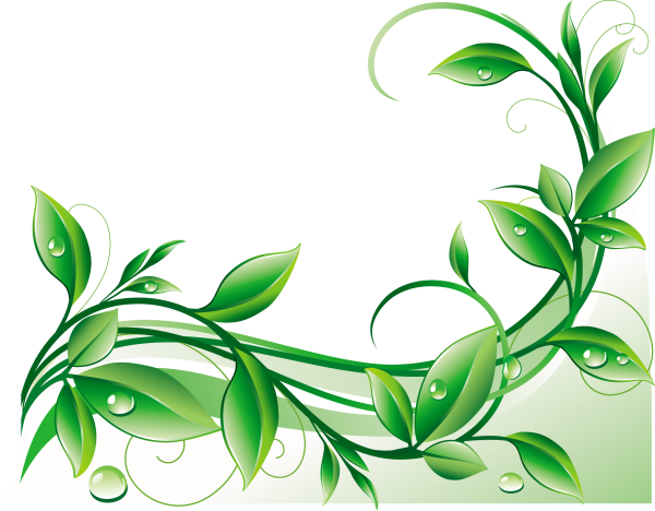 Растительный узор