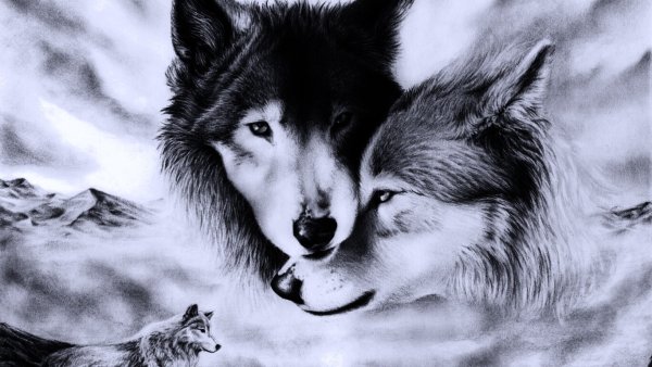 Кентаро Нишино семья Волков