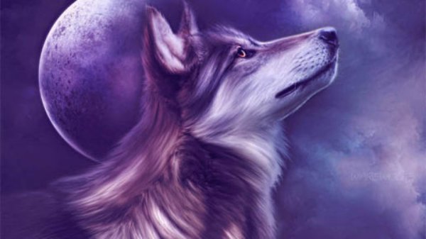 Семья Волков