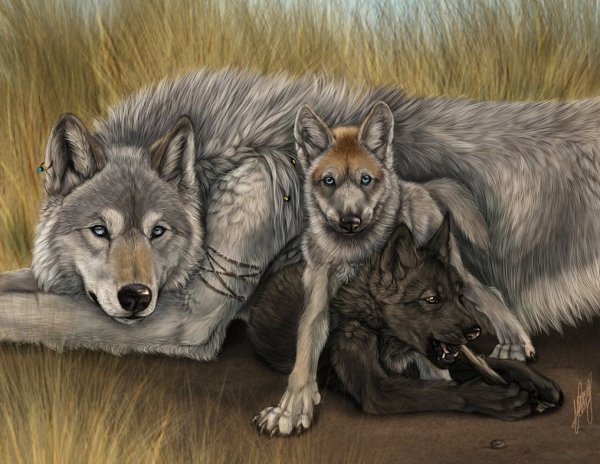 Девушка в объятиях оборотня