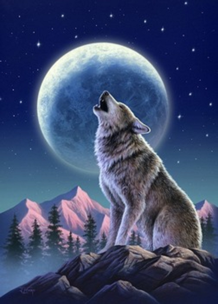 Волк и волчица любовь