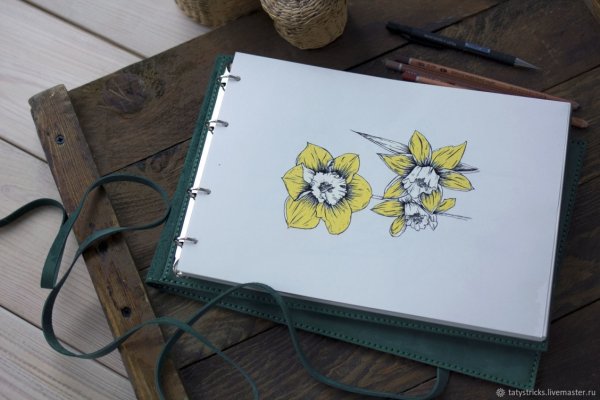 Красивые альбомы для рисования