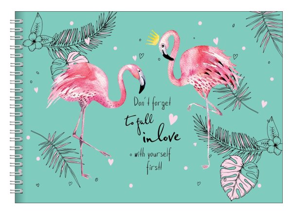 Красивые альбомы для рисования