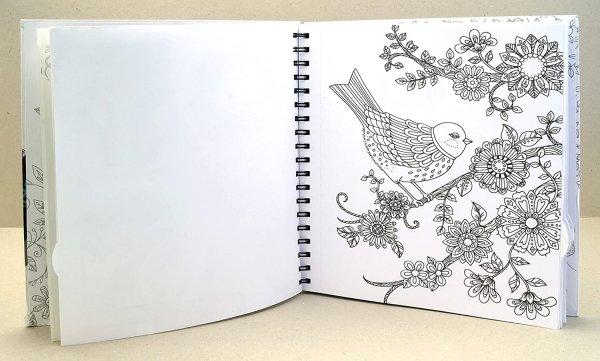 Рамки для слайдов