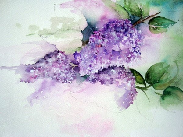 Цветы акварель