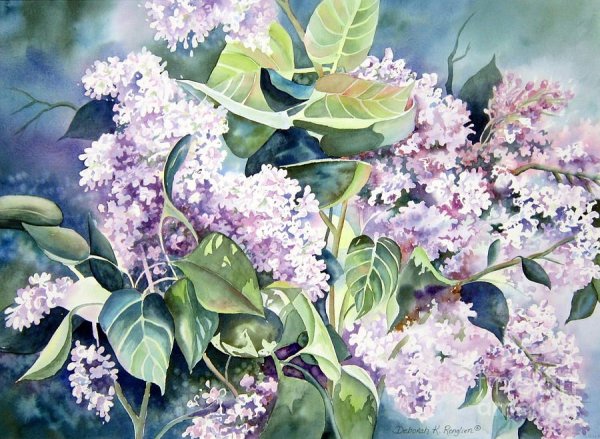 Черемуха акварелью