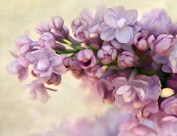 Сирень акварелью