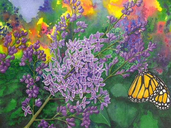 Иллюстрация к романсу сирень