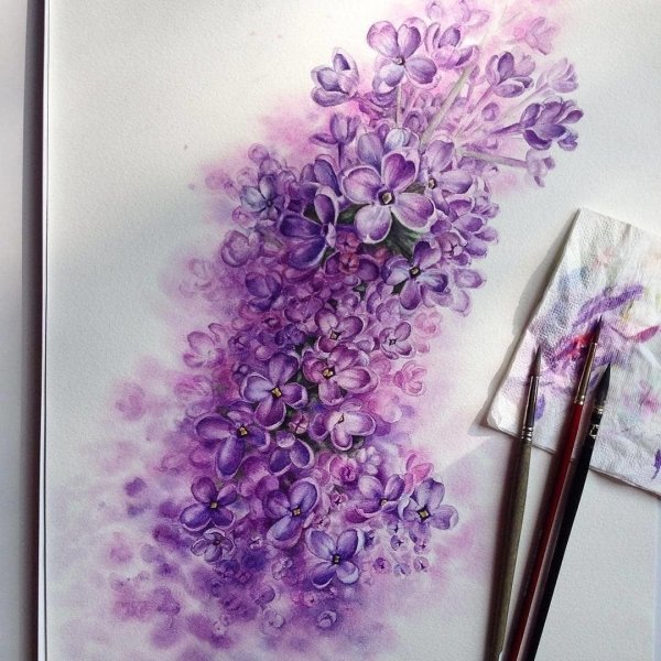 Юлия Барминова цветы акварелью