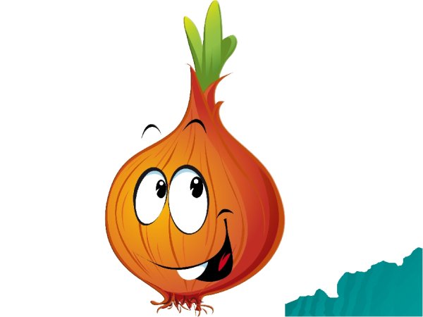 Лук репчатый Чиполлино