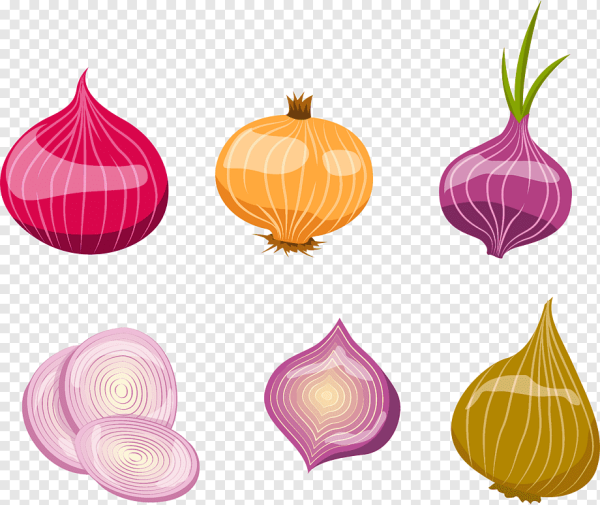 Лук для детей в детском саду