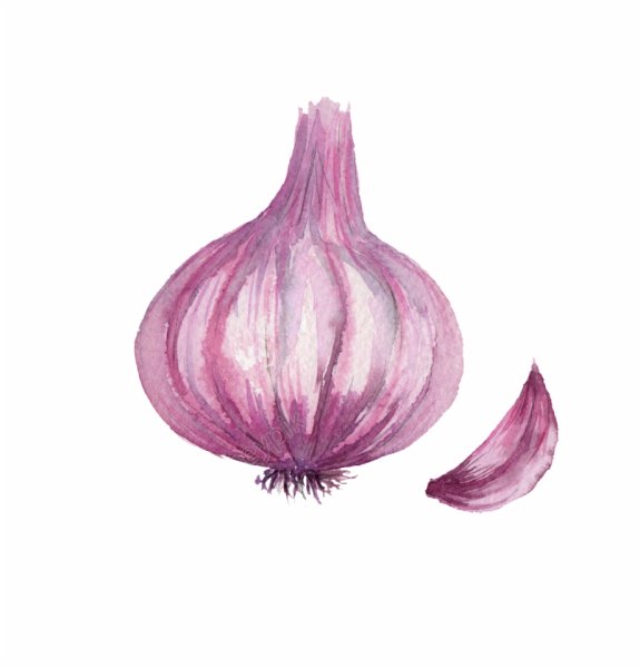 Лук набросок карандашом