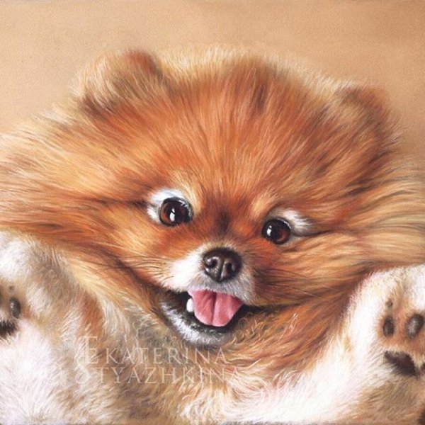 Милые животные пастель