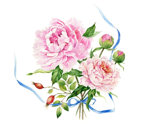 Пионы акварель