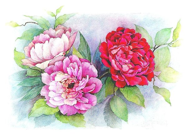 Anne Marie Patry-Belluteau акварели