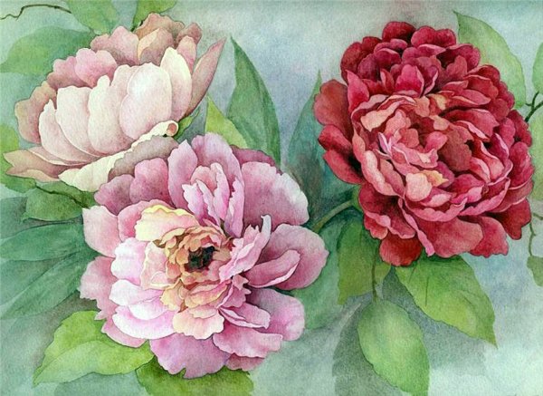 Anne Marie Patry-Belluteau акварели