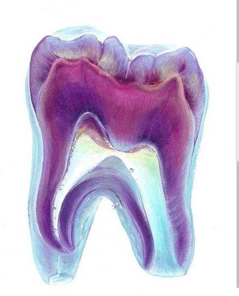 Зуб абстракция